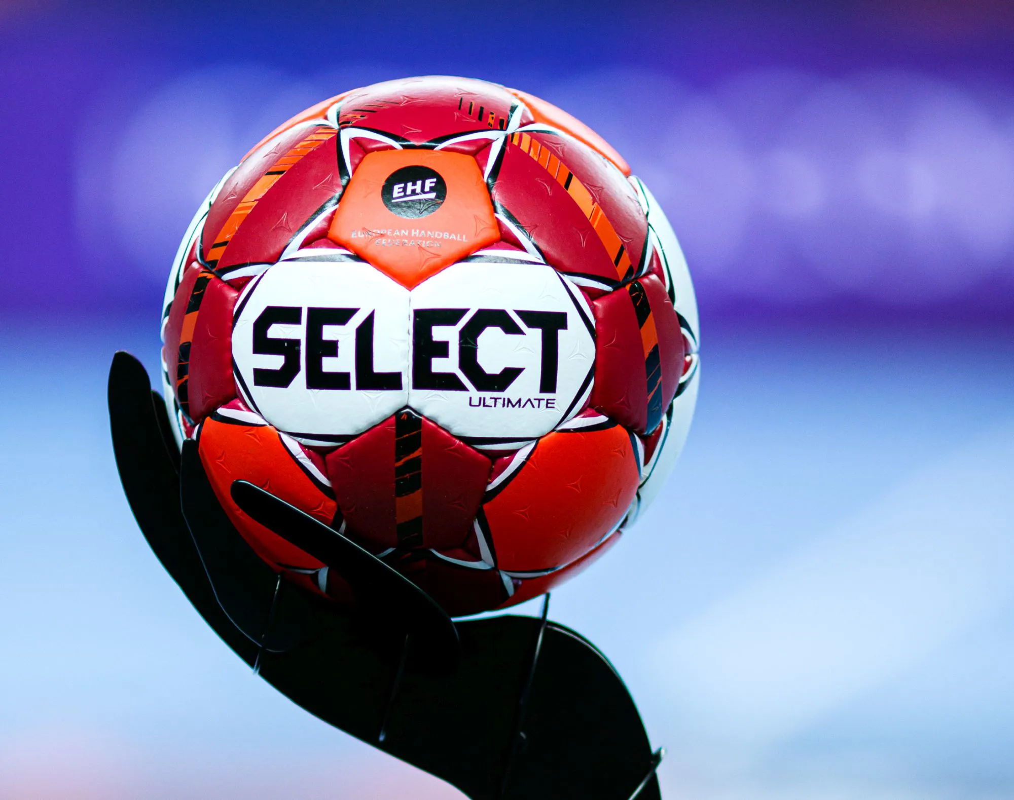 Court of Handball suspends Buljubasic