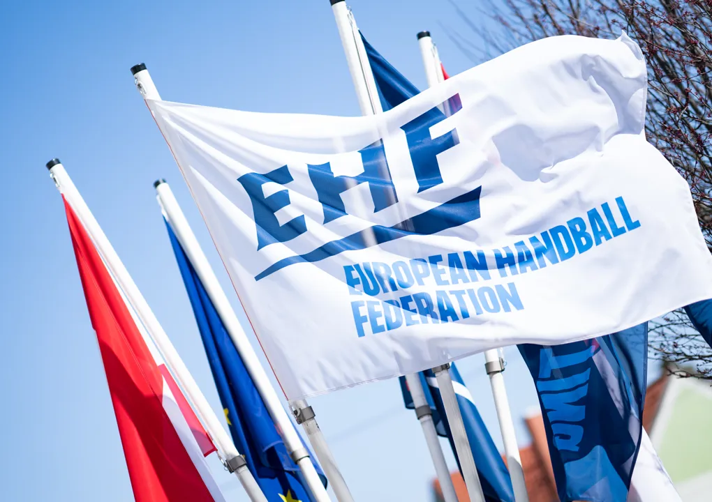 Court of Handball fines Lithuanian Handball Federation